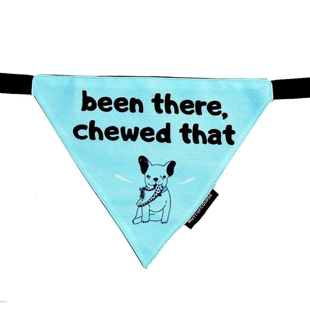 Dog Bandana – Been There Chewed That Accessories