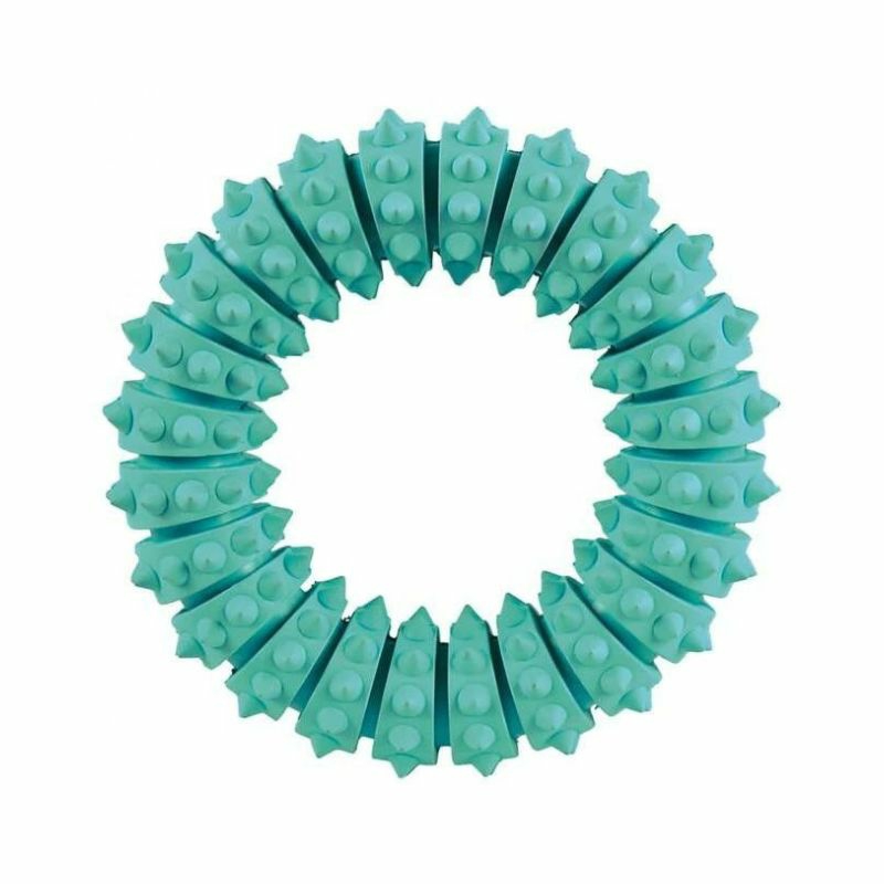 Dog Toys – Denta Fun Ring (Mint Flavor) Dogs