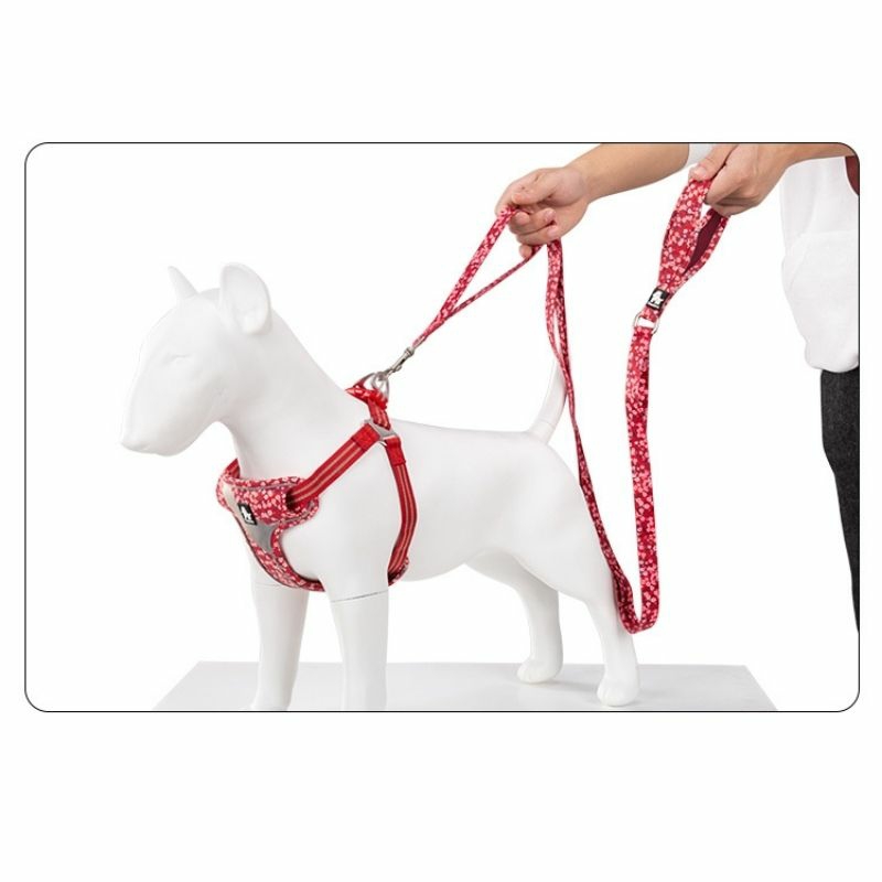 Floral Leashes For Dogs – Poppy Red Accessories