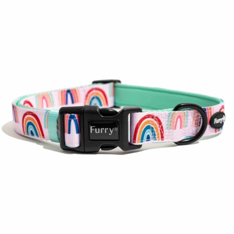 Furry&Co Comfort Collar For Dogs – Raining Rainbows Accessories