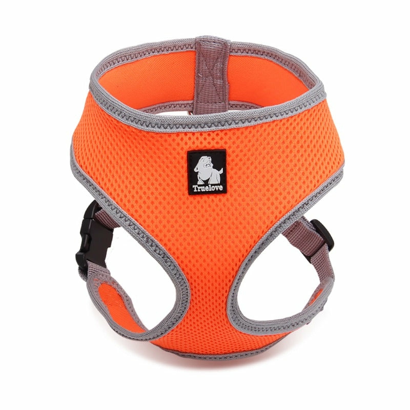 Harnesses For Cats And Small Dogs Accessories