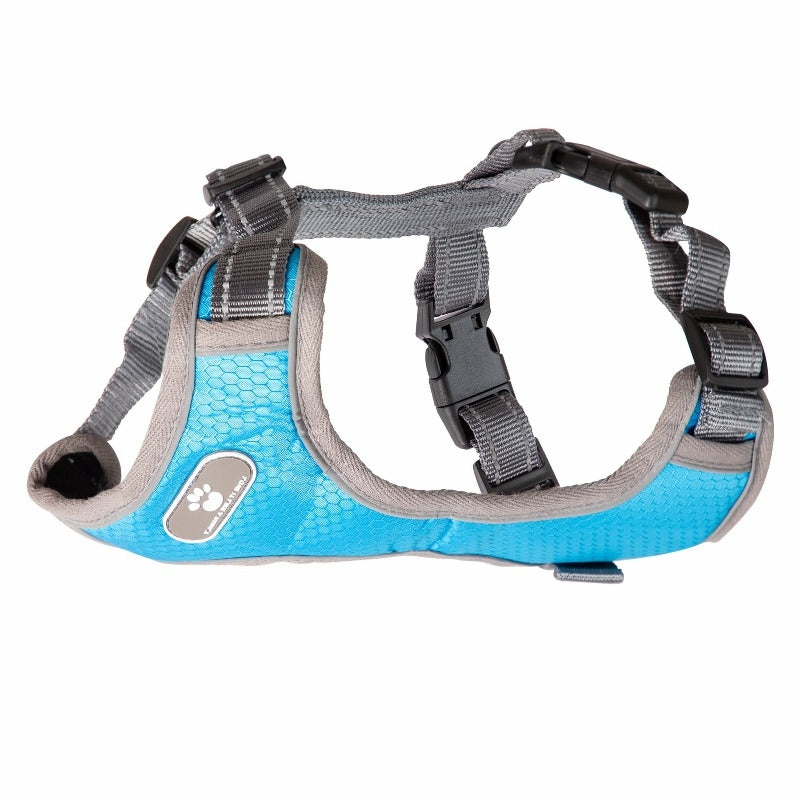 Harnesses For Dogs – Bottom Padded Harness Accessories