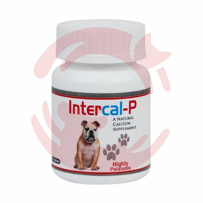 Inter Cal-P Calcium Supplement For Dogs And Cats (30 Tablets) Cat