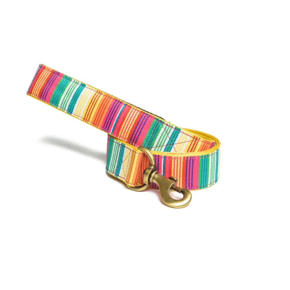 Leash – Colourful Stripes Accessories