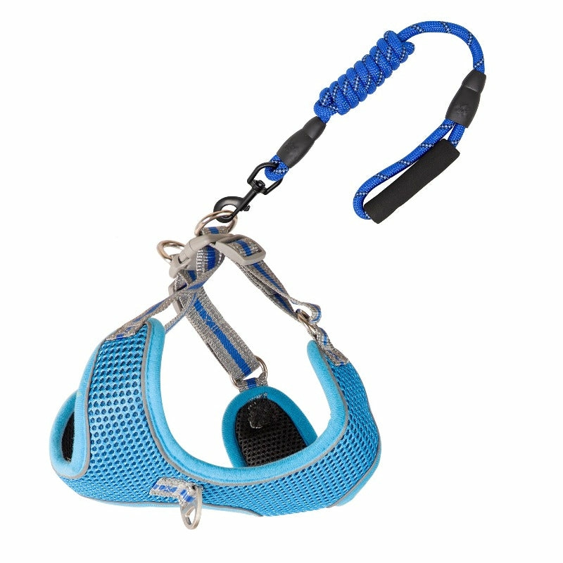 Mesh Harness And Leash For Dogs Accessories