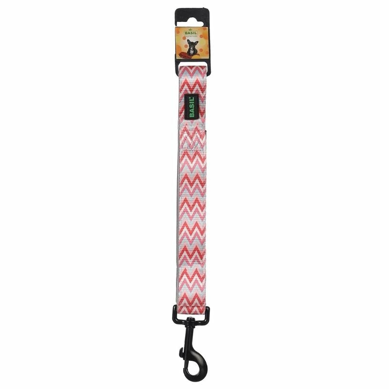 Padded Leash For Dogs – Printed (Assorted) Accessories