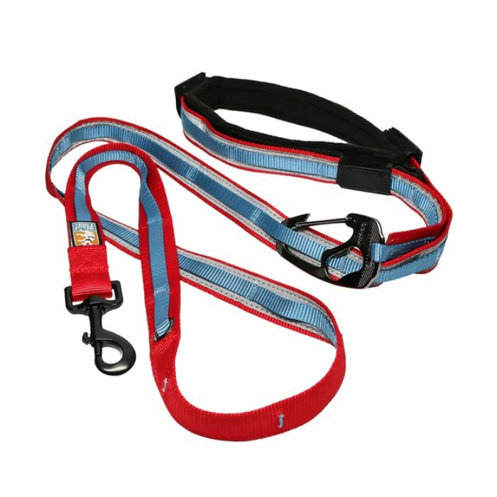 Quantum 6-In-1 Dog Leash – Barn Red Accessories