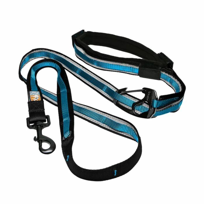 Quantum 6-In-1 Dog Leash – Coastal Blue Accessories