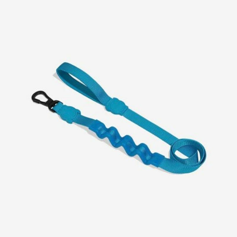 Ruff Leash For Dogs – Ultimate Blue Accessories