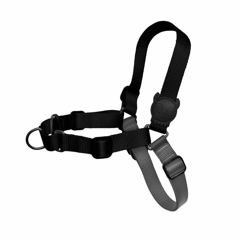 Soft-Walk Harness For Dogs – Gotham Accessories