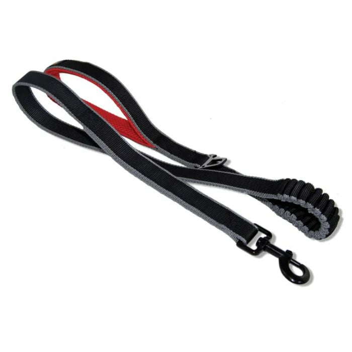 Springback Dog Leash – Black & Red Accessories