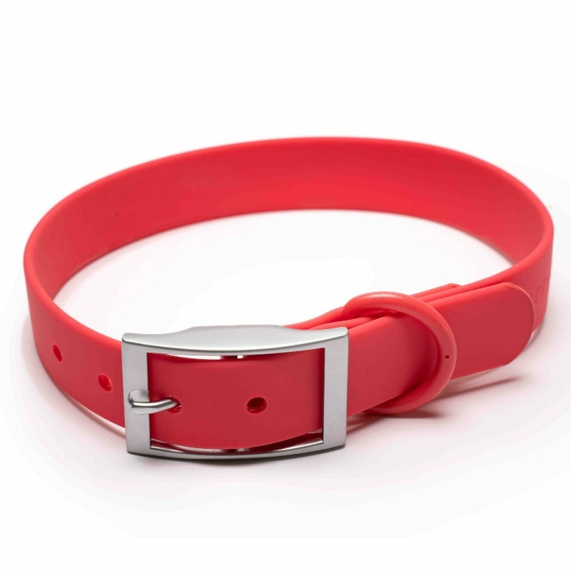 Furry&Co – Waterproof Bold Collar For Dogs Accessories